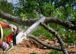 Best Landscape Design and Installation  in Ponderosa Pine, NM