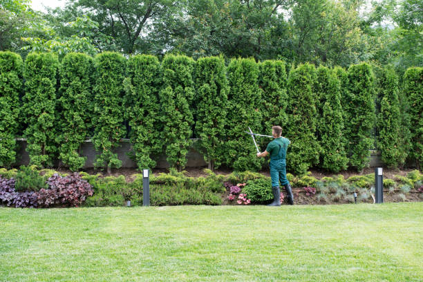 Best Arborist Consultation Services  in Ponderosa Pine, NM